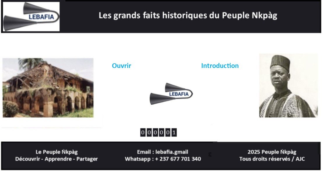 Histoire